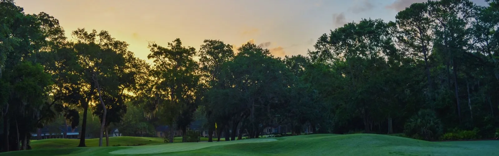 Fairway de golf bordé d'arbres au coucher du soleil