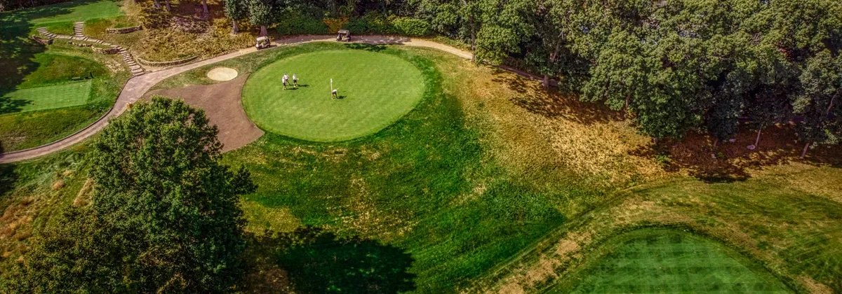 Vue aérienne d'un green de golf entouré d'arbres
